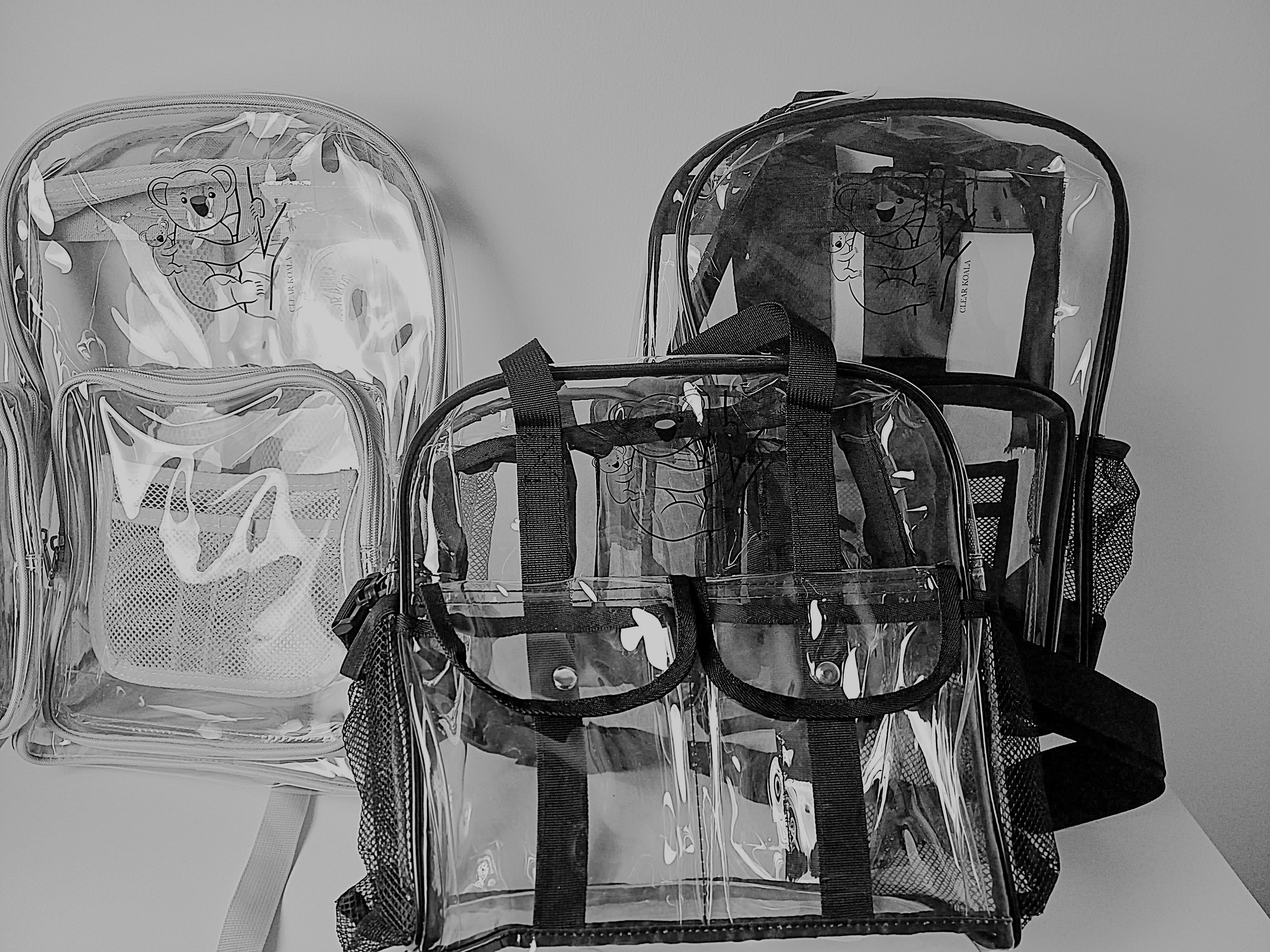 Transparent black backpack