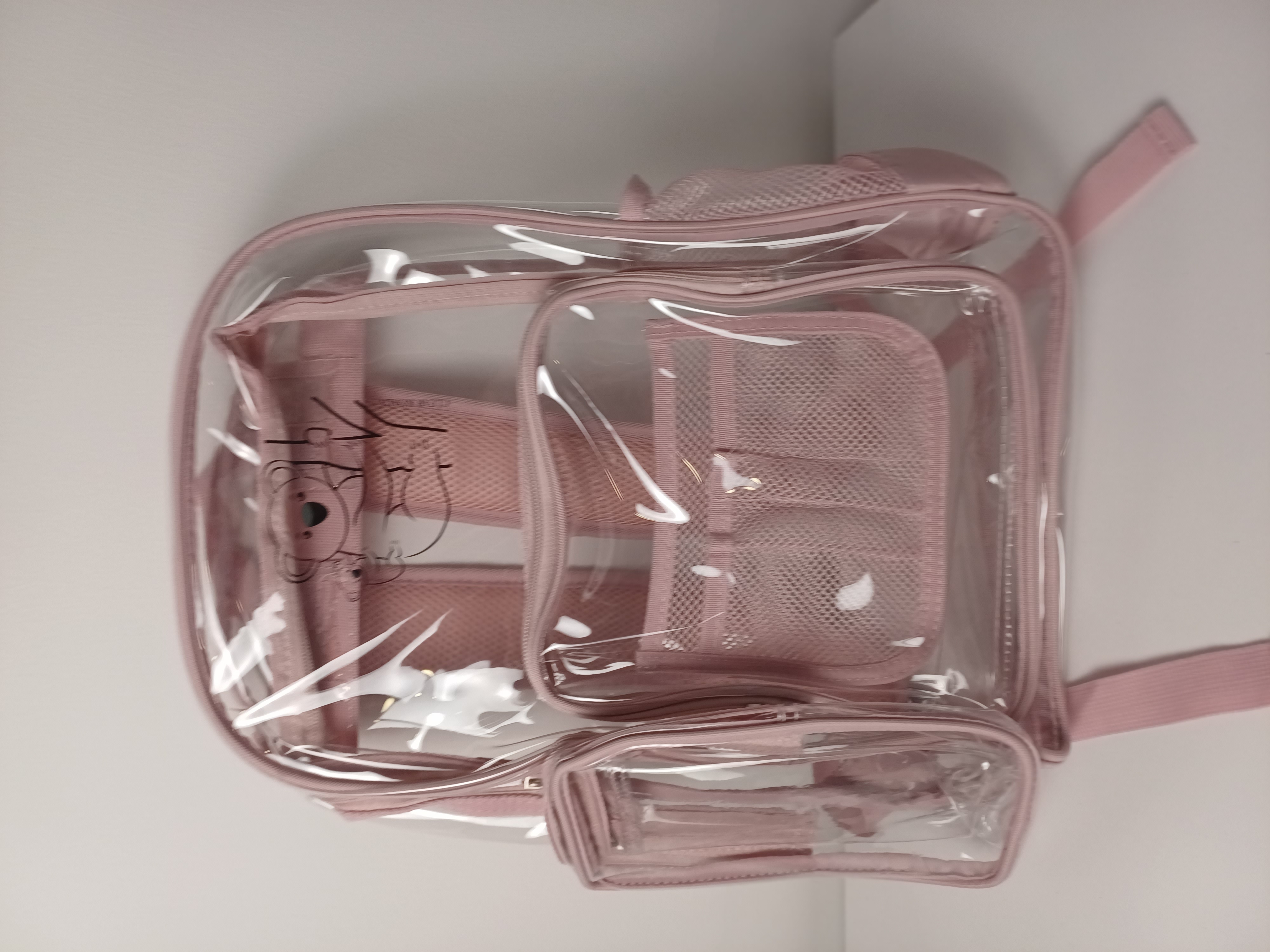 Transparent backpack for Tennis