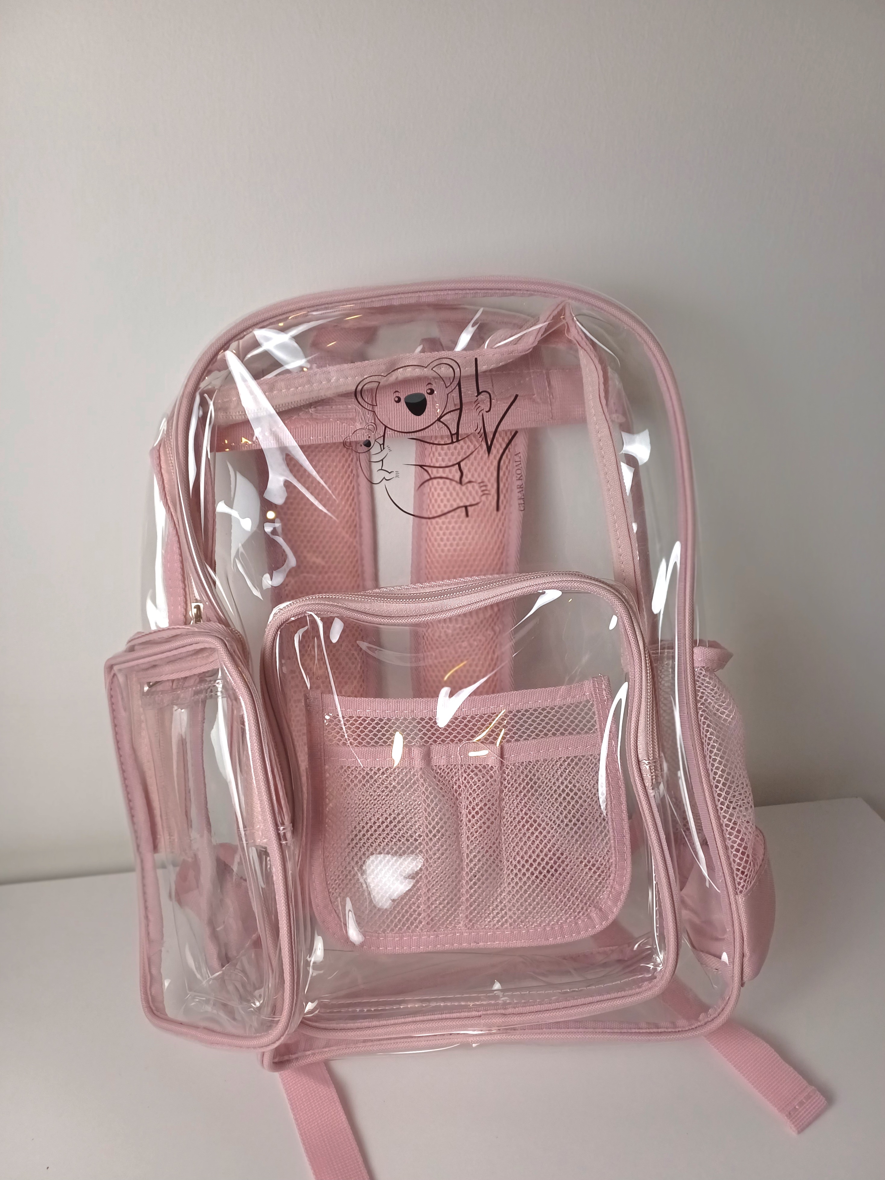 Transparent backpack for Tennis